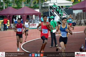 12138317_10154304809729251_7640474157750864455_o 